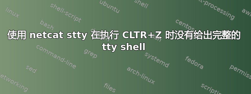 使用 netcat stty 在执行 CLTR+Z 时没有给出完整的 tty shell