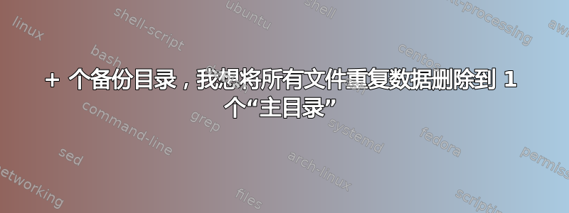 20+ 个备份目录，我想将所有文件重复数据删除到 1 个“主目录”