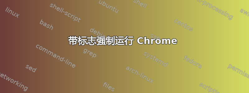 带标志强制运行 Chrome