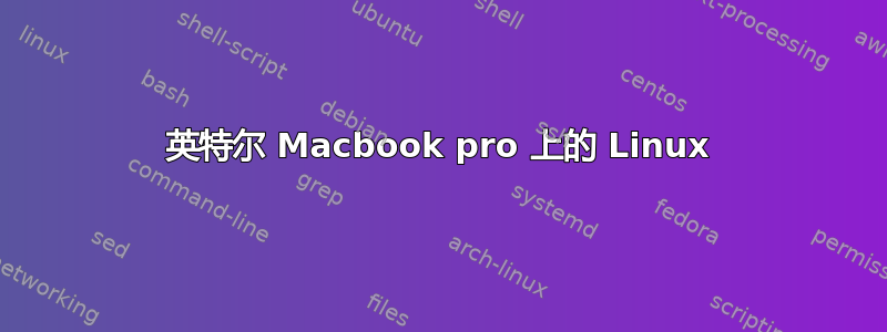 英特尔 Macbook pro 上的 Linux