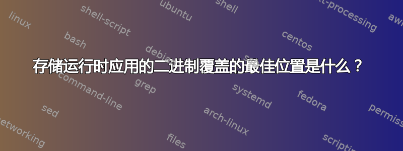 存储运行时应用的二进制覆盖的最佳位置是什么？