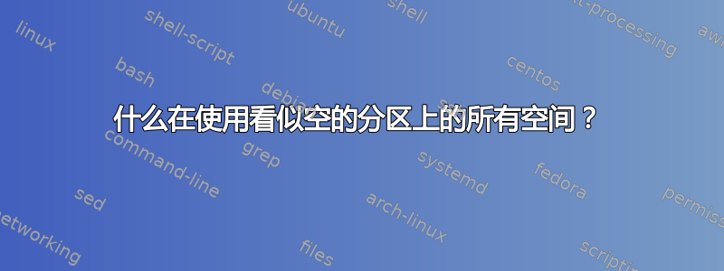 什么在使用看似空的分区上的所有空间？