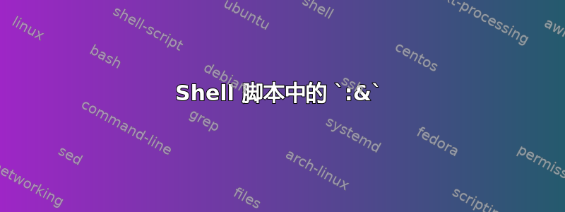 Shell 脚本中的 `:&`