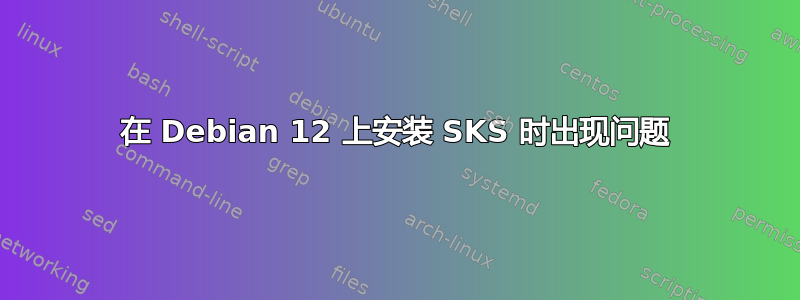 在 Debian 12 上安装 SKS 时出现问题