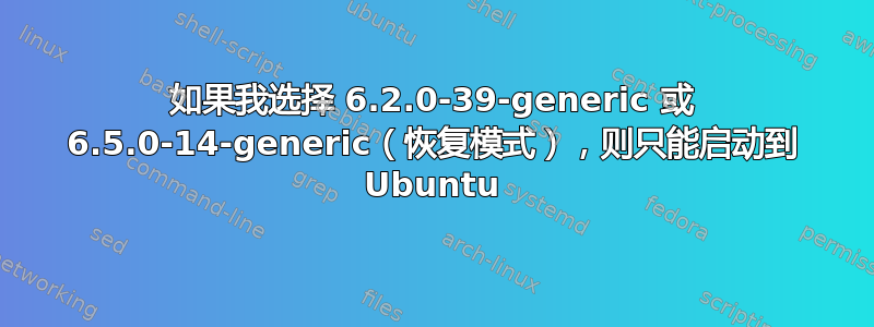 如果我选择 6.2.0-39-generic 或 6.5.0-14-generic（恢复模式），则只能启动到 Ubuntu