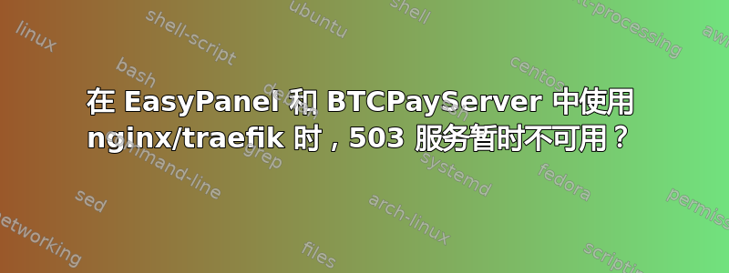 在 EasyPanel 和 BTCPayServer 中使用 nginx/traefik 时，503 服务暂时不可用？