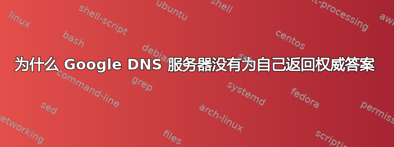 为什么 Google DNS 服务器没有为自己返回权威答案