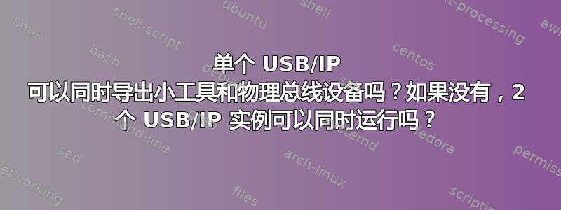 单个 USB/IP 可以同时导出小工具和物理总线设备吗？如果没有，2 个 USB/IP 实例可以同时运行吗？