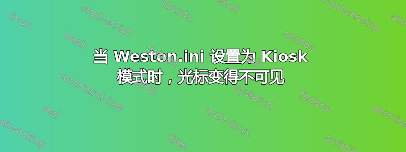 当 Weston.ini 设置为 Kiosk 模式时，光标变得不可见