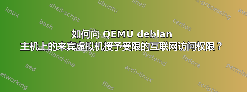 如何向 QEMU debian 主机上的来宾虚拟机授予受限的互联网访问权限？