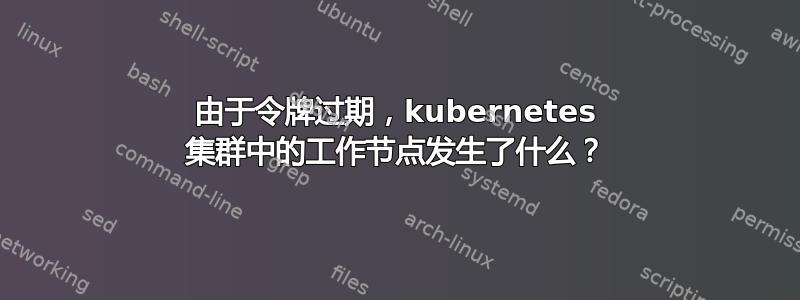 由于令牌过期，kubernetes 集群中的工作节点发生了什么？