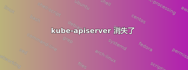 kube-apiserver 消失了