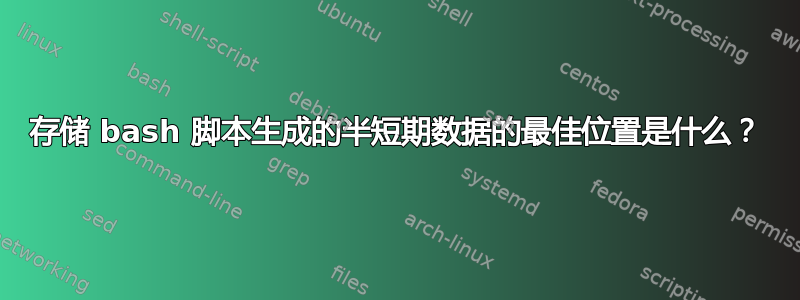 存储 bash 脚本生成的半短期数据的最佳位置是什么？