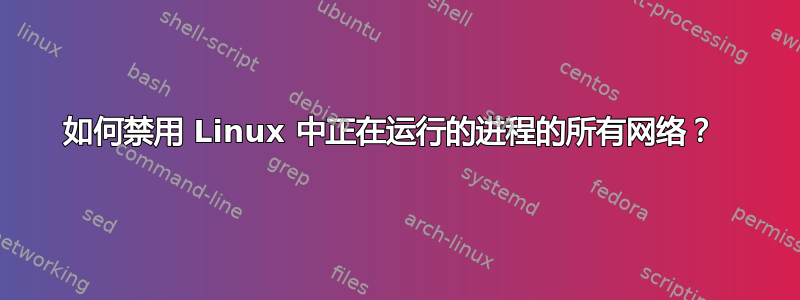 如何禁用 Linux 中正在运行的进程的所有网络？ 