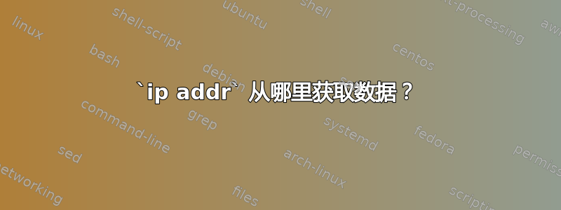 `ip addr` 从哪里获取数据？