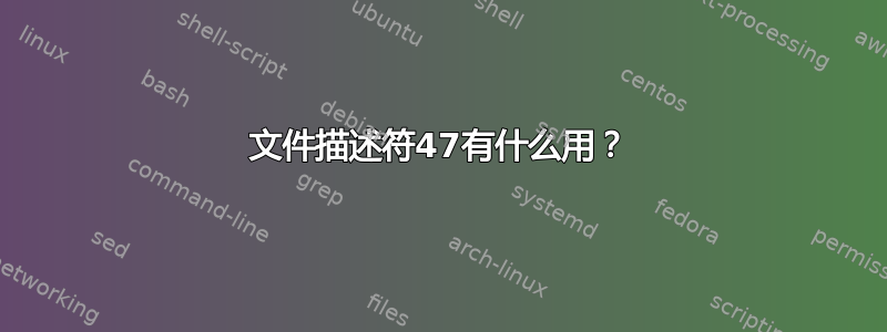 文件描述符47有什么用？