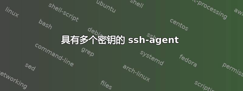 具有多个密钥的 ssh-agent