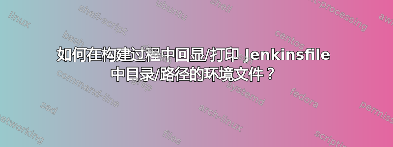 如何在构建过程中回显/打印 Jenkinsfile 中目录/路径的环境文件？