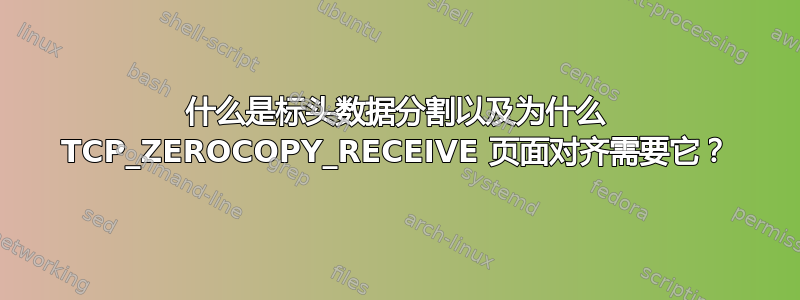 什么是标头数据分割以及为什么 TCP_ZEROCOPY_RECEIVE 页面对齐需要它？