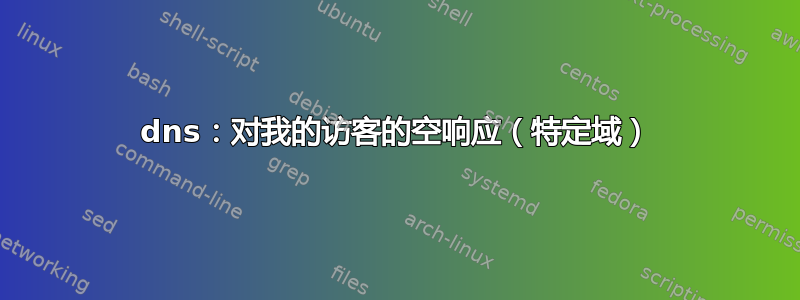 dns：对我的访客的空响应（特定域）