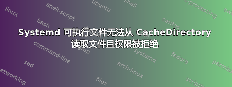 Systemd 可执行文件无法从 CacheDirectory 读取文件且权限被拒绝