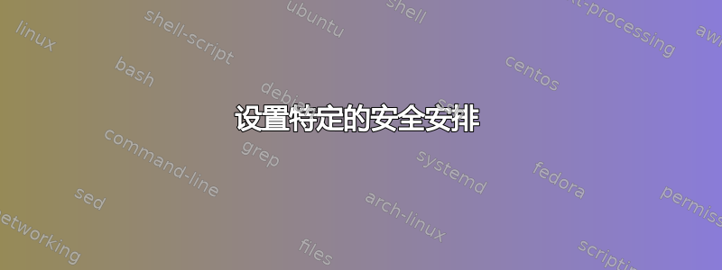 设置特定的安全安排