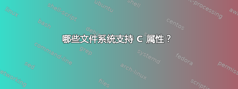 哪些文件系统支持 C 属性？