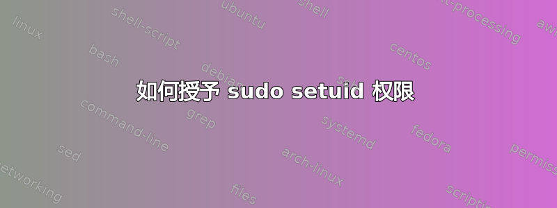 如何授予 sudo setuid 权限