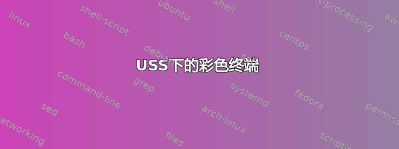 USS下的彩色终端