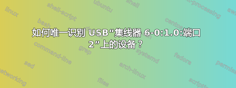 如何唯一识别 USB“集线器 6-0:1.0:端口 2”上的设备？