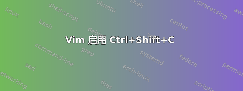 Vim 启用 Ctrl+Shift+C