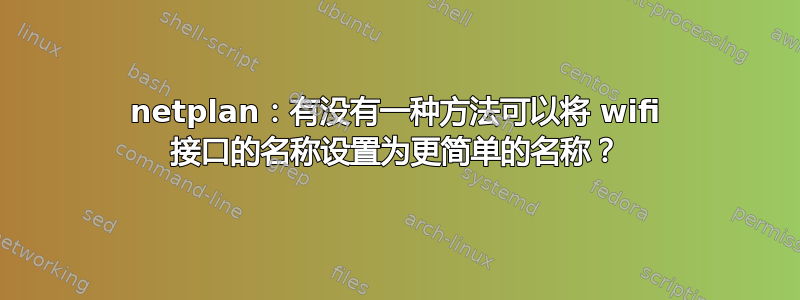 netplan：有没有一种方法可以将 wifi 接口的名称设置为更简单的名称？