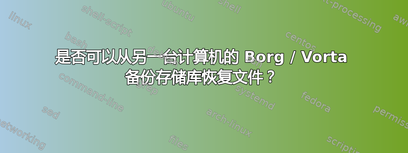 是否可以从另一台计算机的 Borg / Vorta 备份存储库恢复文件？