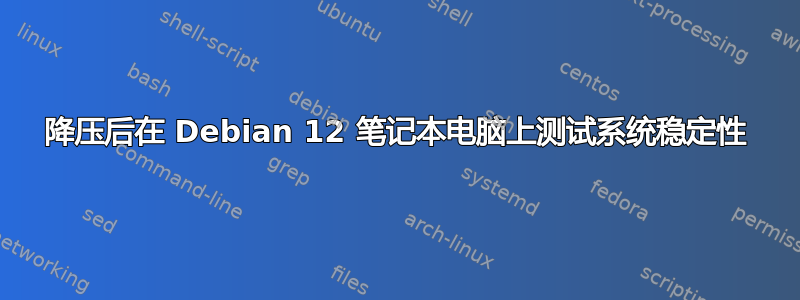 降压后在 Debian 12 笔记本电脑上测试系统稳定性