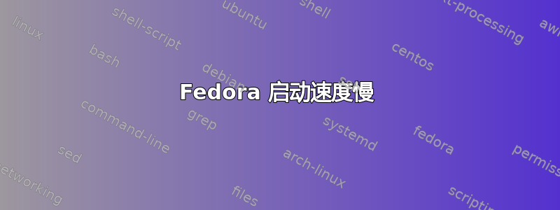 Fedora 启动速度慢