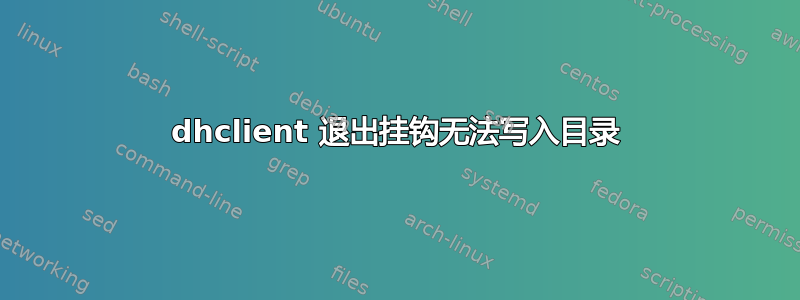 dhclient 退出挂钩无法写入目录