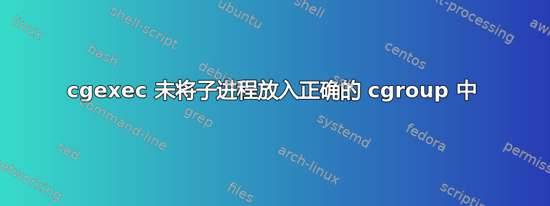 cgexec 未将子进程放入正确的 cgroup 中