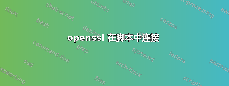 openssl 在脚本中连接