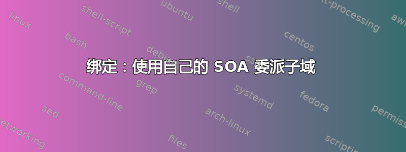 绑定：使用自己的 SOA 委派子域