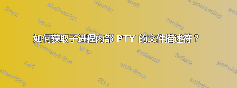 如何获取子进程内部 PTY 的文件描述符？