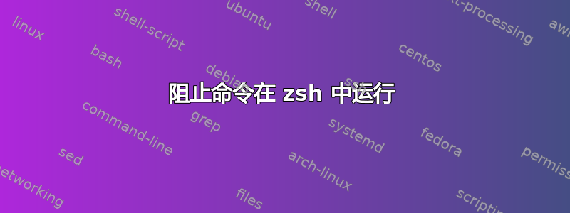 阻止命令在 zsh 中运行