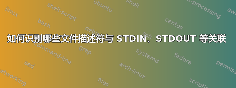 如何识别哪些文件描述符与 STDIN、STDOUT 等关联