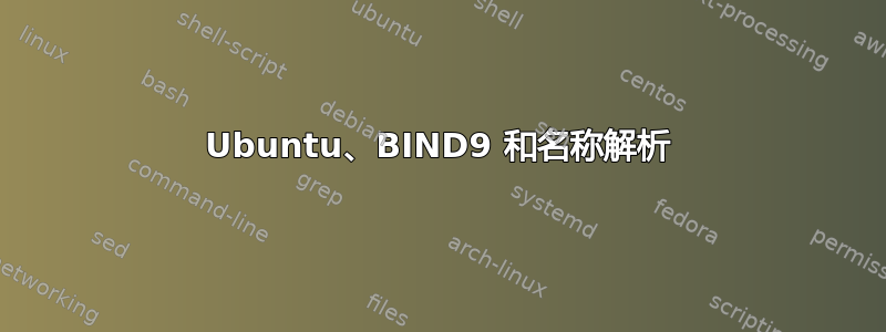 Ubuntu、BIND9 和名称解析