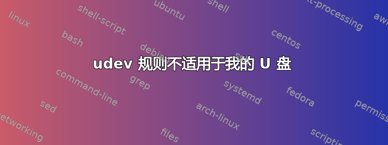 udev 规则不适用于我的 U 盘