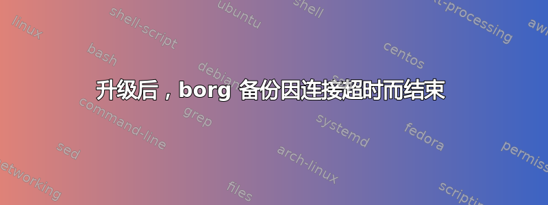 升级后，borg 备份因连接超时而结束