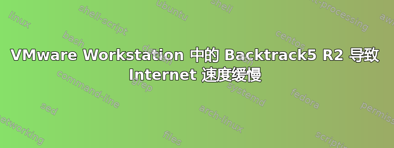 VMware Workstation 中的 Backtrack5 R2 导致 Internet 速度缓慢