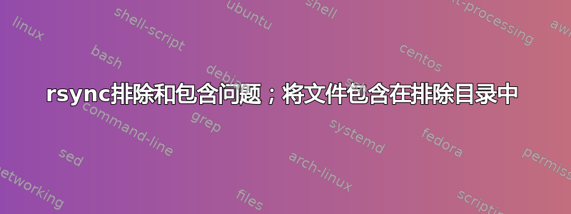 rsync排除和包含问题；将文件包含在排除目录中