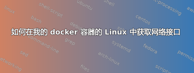 如何在我的 docker 容器的 Linux 中获取网络接口