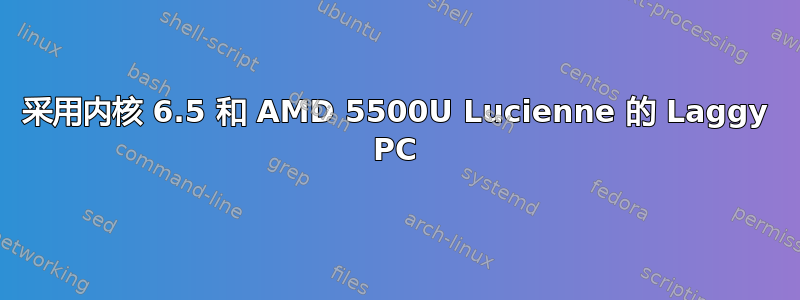 采用内核 6.5 和 AMD 5500U Lucienne 的 Laggy PC