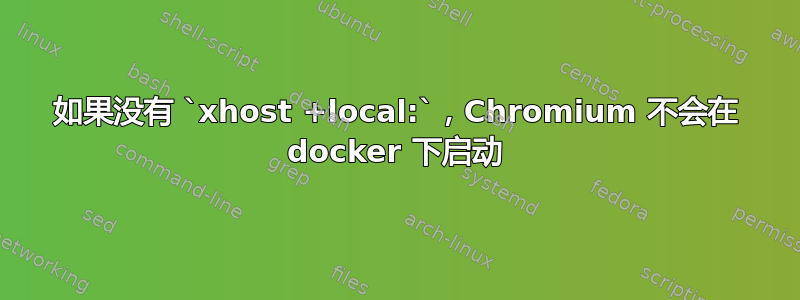 如果没有 `xhost +local:`，Chromium 不会在 docker 下启动